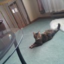 ���� Milda ,Mama, �����������, 42 ���� - ��������� 14 ������� 2014 � ������ ���� ����������