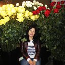 � ��������� ���))) �� ������� ���� ����������