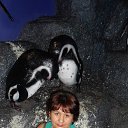  .., , 58  -  12  2013    