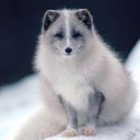 ���� �������, ��������, 65 ��� - ��������� 29 ������� 2013 � ������ ������� ������.�