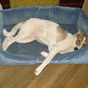 ���� ����, ������, 47 ��� - ��������� 3 ������� 2014 � ������ ���� ����������