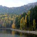 ���� Svann, ���������, 71 ��� - ��������� 6 ������� 2013 � ������ ������. ��. �������.�
