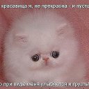 ���� ������, �����, 62 ���� - ��������� 20 ������ 2013 � ������ ���� ����������