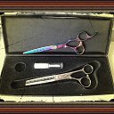 ���� �������, ����-������ - ��������� 12 ������� 2013 � ������ ���� ����������