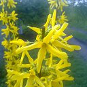 ���� �������, ����� - ��������� 20 ������� 2014 � ������ ��� ��� ������ ���