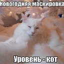 ���� �������, ������, 39 ��� - ��������� 10 ������� 2013 � ������ ������ ��������