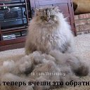 ���� ���, ������ - ��������� 5 ����� 2014 � ������ ������ ��������