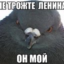���� �������, �������, 44 ���� - ��������� 24 ������� 2014 � ������ ������ ��������
