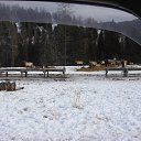 ���� ���������, ���������, 60 ��� - ��������� 14 ����� 2014 � ������ ���� ����������