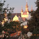 ���� ���������, ������, 66 ��� - ��������� 26 ������� 2013 � ������ ���� ����������