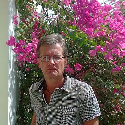 ����, �����-���������, 65 ���