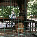 ���� ������, ������, 30 ��� - ��������� 17 ������� 2013