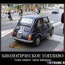 ���� ����, ������, 54 ���� - ��������� 19 ������� 2013 � ������ �������