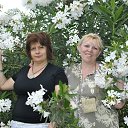 �� ������ �� ������� ������������� �������