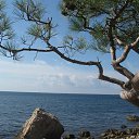 ���� Svet@, �����������, 85 ��� - ��������� 30 ������ 2013 � ������ ���� ����������