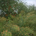 ���� �������, ������, 70 ��� - ��������� 17 ������� 2013 � ������ ���� ����������