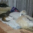 ���� ���������, ������, 43 ���� - ��������� 14 ������� 2014 � ������ �������