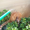 ����� ����...�� � ������ ����... �� ������� ���� �������� � ������ �����...�