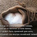 ���� ������, �����, 53 ���� - ��������� 12 ����� 2014 � ������ ���� ����������