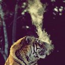 ���� ���, ���������, 23 ���� - ��������� 22 ������� 2013 � ������ ������ ��������