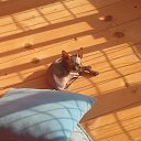 � �� �������� ����... �� ������� ���� ����������