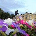 ���� �������, �����, 51 ��� - ��������� 10 ������� 2014 � ������ ���������� �������������-2013�