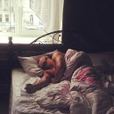 ���� �������, ������, 38 ��� - ��������� 10 ������� 2013 � ������ ���� ����������