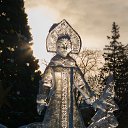  , , 46  -  15  2014    2014