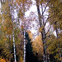 ���� �����, �����, 64 ���� - ��������� 30 ������ 2013 � ������ ��Ψ�