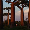 ���� ���������, ������, 57 ��� - ��������� 19 �������� 2013