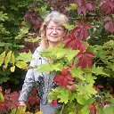 ���� �������, �������, 77 ��� - ��������� 6 �������� 2013