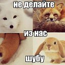 ���� ���, ������ - ��������� 18 ������� 2013 � ������ ���������