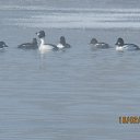 ���� ������, ��������� - ��������� 17 ������� 2014 � ������ ���� ����������