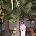  , -, 48  -  19  2013    