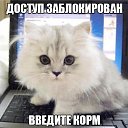 ���� ��������, ������, 58 ��� - ��������� 16 ������� 2014 � ������ ����������� ��������