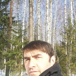 ���� �������, ������, 43 ���� - ��������� 24 �������� 2013