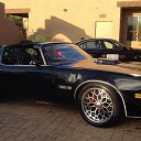 ���� �����, ������, 36 ��� - ��������� 1 ������� 2013 � ������ ������ ��������