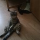 � ���������� �������!!!!!!!!!!!!!!!! �� ������� ����� ��� ������������