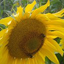 ���� �������, ������ - ��������� 30 �������� 2013 � ������ ���� ����������