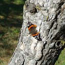 ���� �������, �����������, 60 ��� - ��������� 22 ������� 2013 � ������ ���� ����������