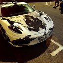 ���� ���������, �����������, 37 ��� - ��������� 11 ������� 2013 � ������ ���� ����������