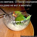 ���� ����, ������, 43 ���� - ��������� 10 ������ 2013 � ������ ���� ����������