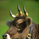 ���� �������, ������ �������, 37 ��� - ��������� 3 ����� 2014 � ������ ���� ����������