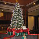 ���� �������, ��������� - ��������� 24 ������� 2013 � ������ ��������, �������, 2013�.�