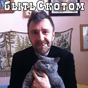  , -, 62  -  28  2014    