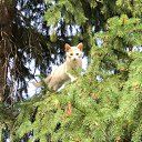 ���� �����, ������� - ��������� 20 ������� 2014 � ������ ������ ��������