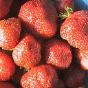 ��������� �� ������� ���� ����������