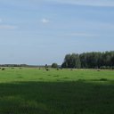 ����, ������� ����....�������.... �� ������� ���� ����������