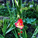 ���� ������� �., ����� - ��������� 5 ������� 2013 � ������ �������