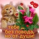 ���� ��� ������� �������!!!, �����-��������� - ��������� 12 ������ 2014 � ������ ���� ����������